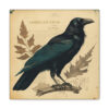 Crow Vintage Antique Retro Canvas Wall Art - This Art Print Makes the Perfect Gift for any Nature Lover. Uplifting Decor.