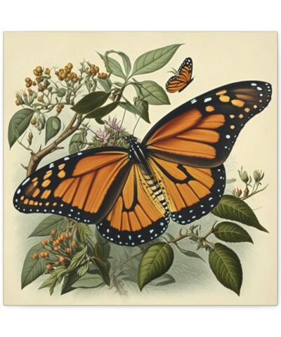 75767 154 400x480 - Monarch Butterfly Vintage Antique Retro Canvas Wall Art - This Art Print Makes the Perfect Gift for any Nature Lover. Uplifting Decor.