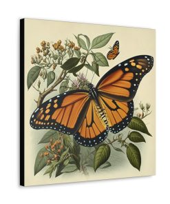 Monarch Butterfly Vintage Antique Retro Canvas Wall Art – This Art Print Makes the Perfect Gift for any Nature Lover. Uplifting Decor.