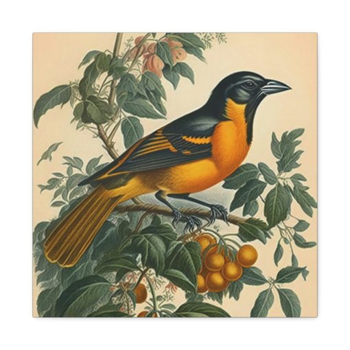 Baltimore Oriole Vintage Antique Retro Canvas Wall Art – This Art Print Makes the Perfect Gift for any Nature Lover. Uplifting Decor.