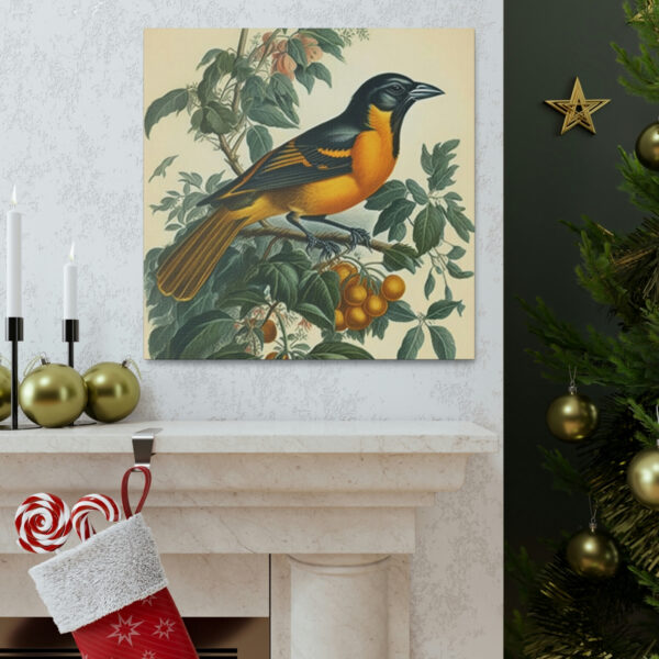 Baltimore Oriole Vintage Antique Retro Canvas Wall Art – This Art Print Makes the Perfect Gift for any Nature Lover. Uplifting Decor.