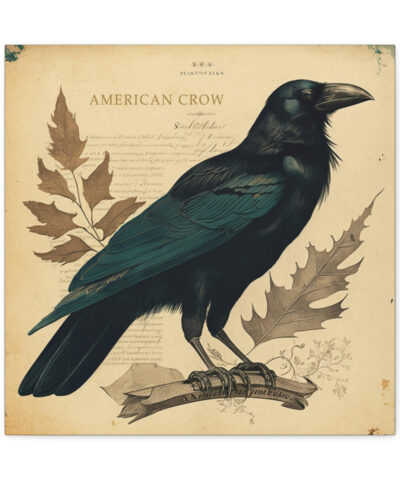 75767 266 400x480 - Crow Vintage Antique Retro Canvas Wall Art - This Art Print Makes the Perfect Gift for any Nature Lover. Uplifting Decor.