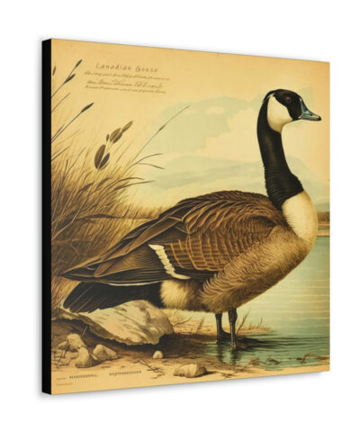 75767 71 400x480 - Canadian Goose Vintage Antique Retro Canvas Wall Art - This Art Print Makes the Perfect Gift for any Nature Lover. Decor You Can Love.