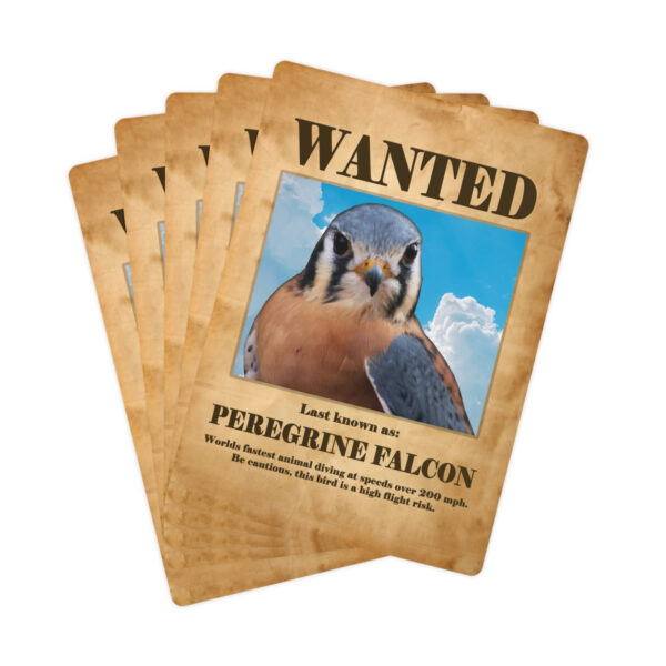 Wanted: Peregrine Falcon Poker Cards