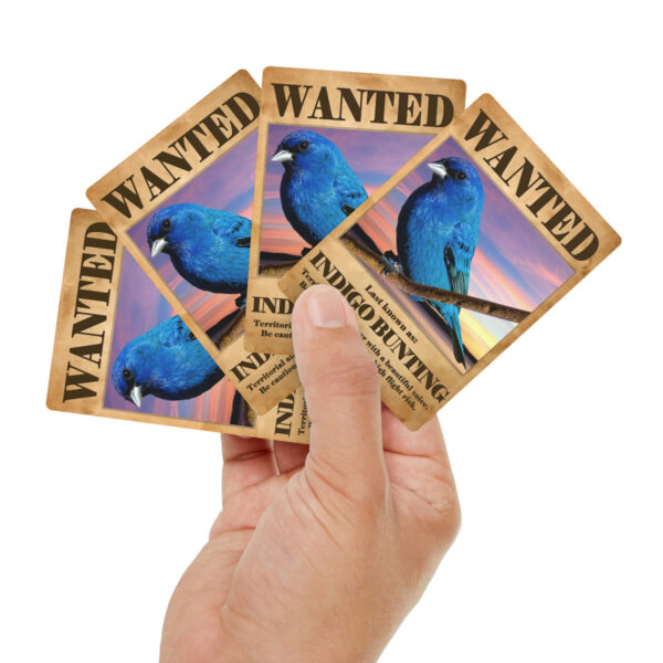 Wanted: Indigo Bunting Poker Playing Cards