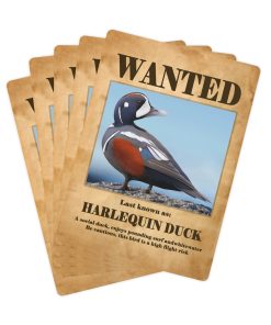 Wanted: Harlequin Duck Poker Playing Cards