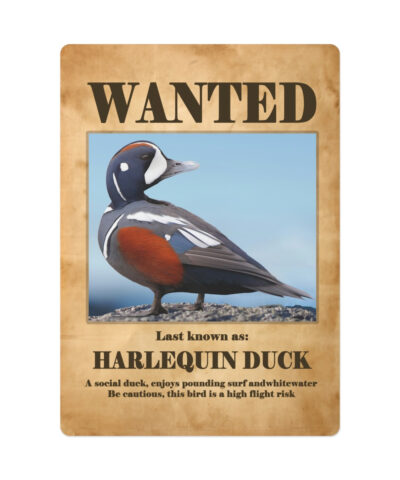 Wanted: Harlequin Duck Poker Playing Cards