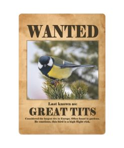 Wanted: Great Tits Poker Playing Cards