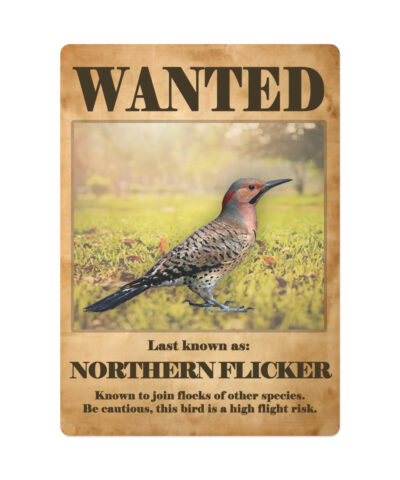 Wanted: Northern Flicker Poker Playing Cards