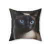 Siamese Cat Portrait Square Pillow