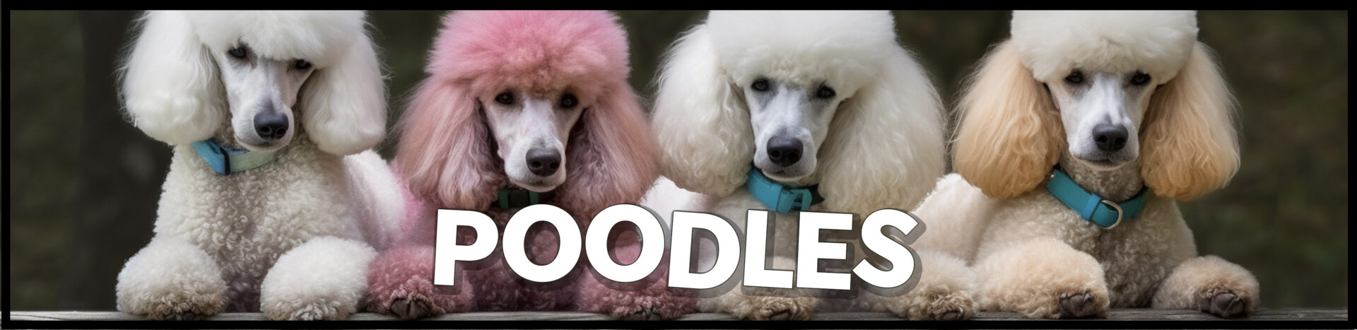 Poodle Gifts - Mowbi Brand Gifts