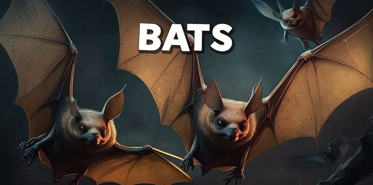 Gifts for People that Love Bats