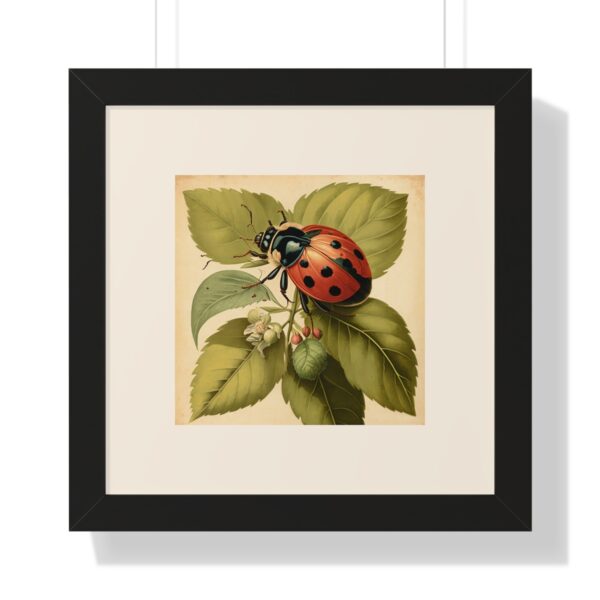 Vintage Wildlife Lady Bug Framed Print