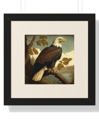 Vintage Wildlife Bald Eagle Framed Poster