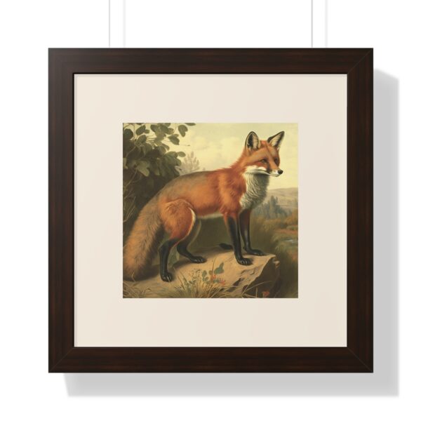 Vintage Wildlife Red Fox Framed Print