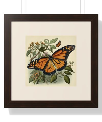 69673 39 400x480 - Vintage Wildlife Monarch Butterfly Framed Print