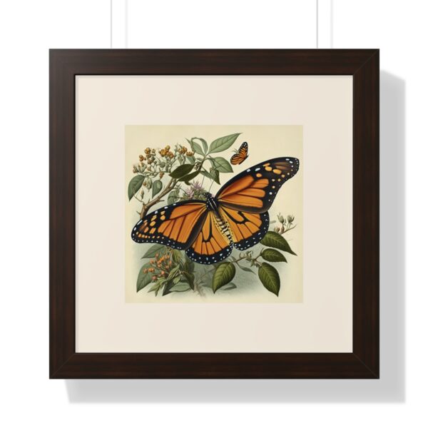 Vintage Wildlife Monarch Butterfly Framed Print