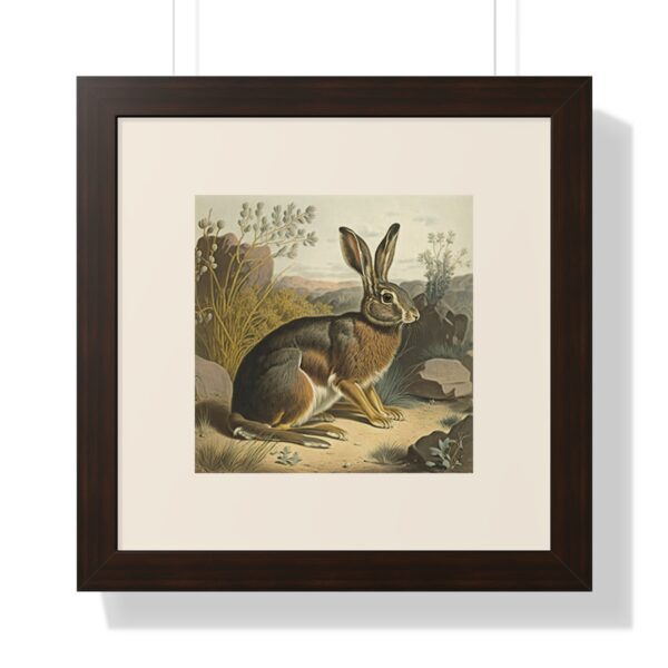Vintage Wildlife Jackrabbit Framed Print