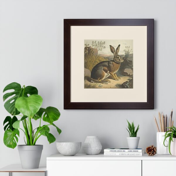 Vintage Wildlife Jackrabbit Framed Print