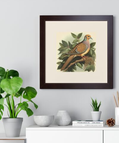 69673 46 400x480 - Vintage Wildlife Mourning Dove Framed Print
