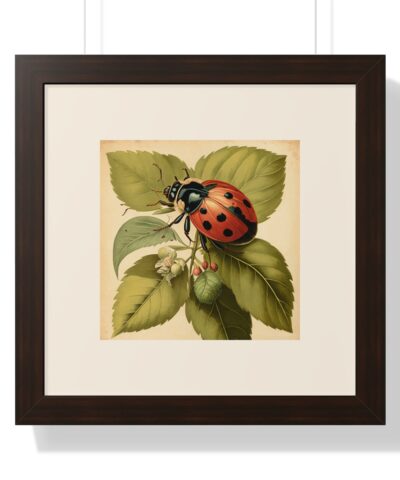 69673 57 400x480 - Vintage Wildlife Lady Bug Framed Print