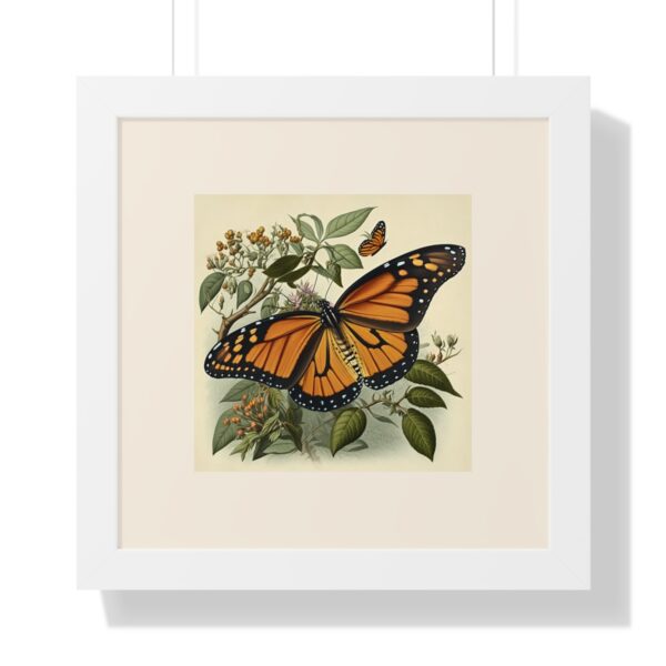 Vintage Wildlife Monarch Butterfly Framed Print