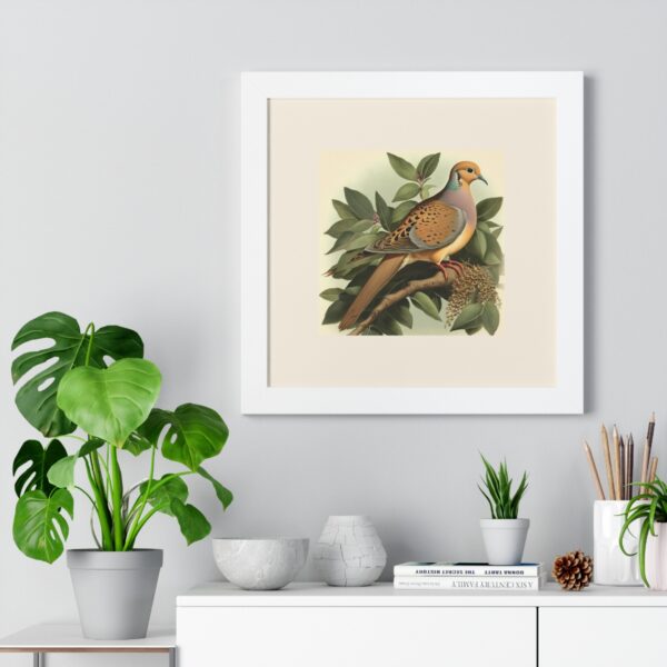 Vintage Wildlife Mourning Dove Framed Print