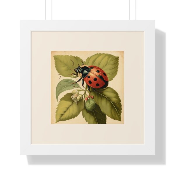 Vintage Wildlife Lady Bug Framed Print