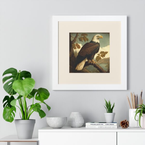 Vintage Wildlife Bald Eagle Framed Poster
