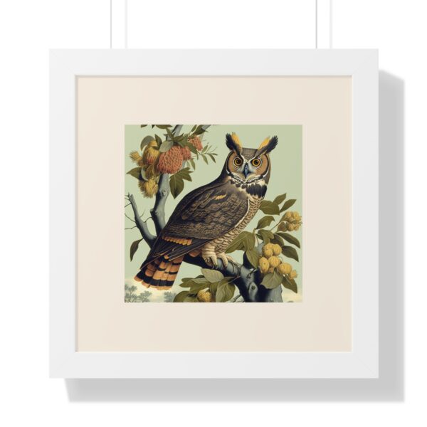 Vintage Wildlife Great Horned Owl Framed Poster