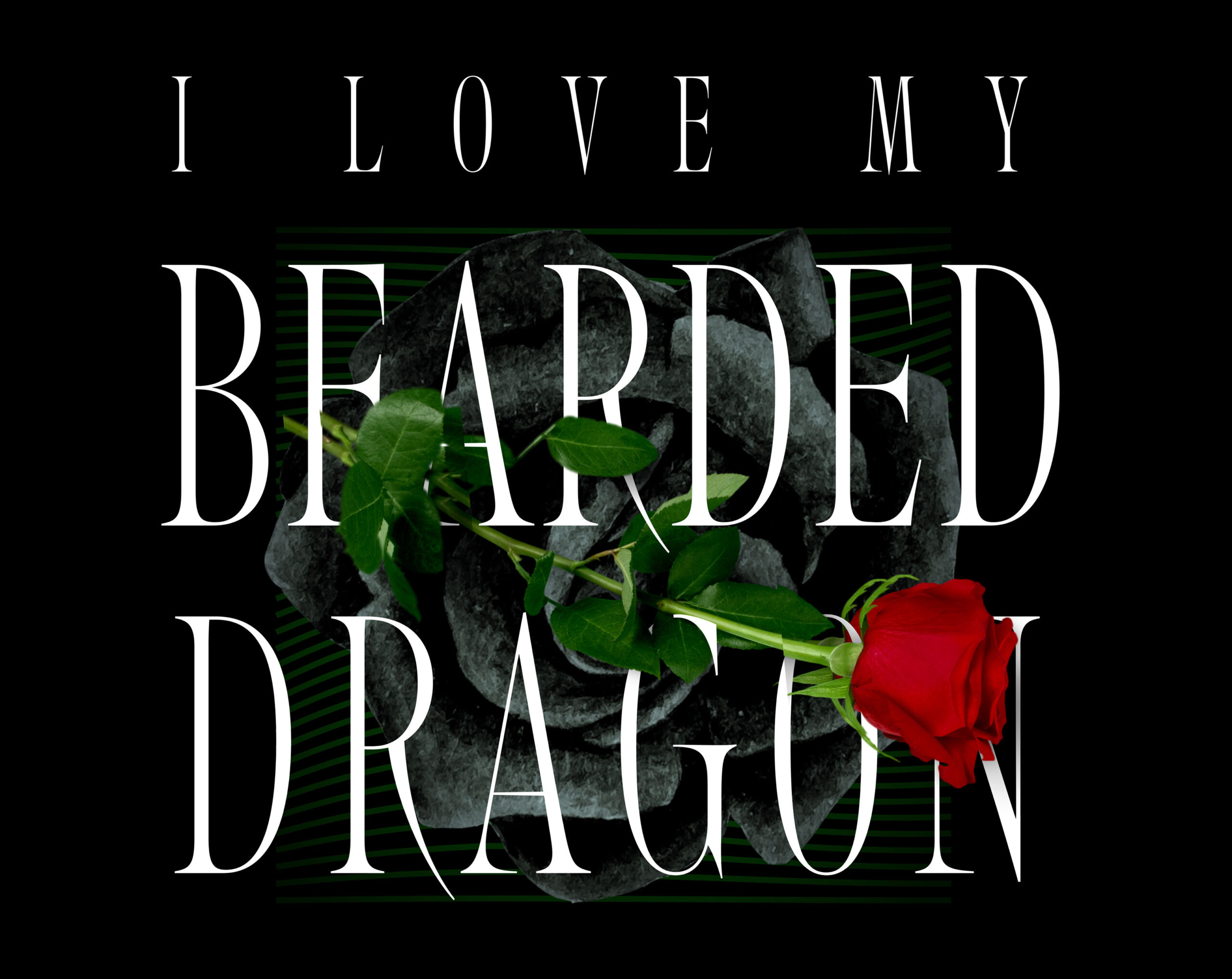 Love My Bearded Dragon Shirt
