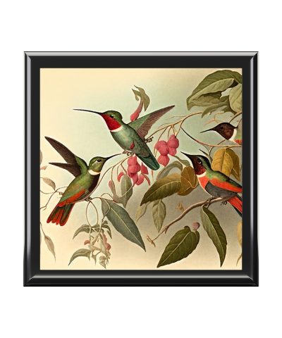 Ruby Throated Hummingbird Vintage Art Print on Parchment Porcelain Tile, Gift and Jewelry Box. Keep your mementos organized.